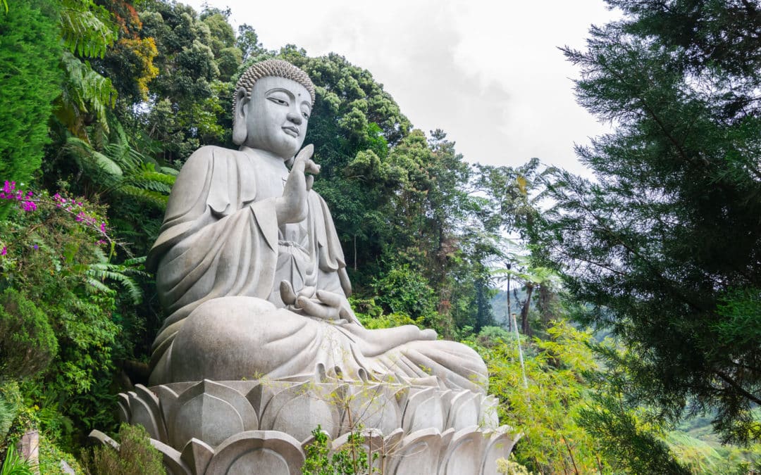 Four Powers of Practice