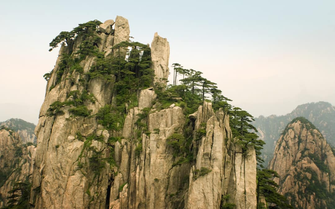 Daoist Lineages (Collated)